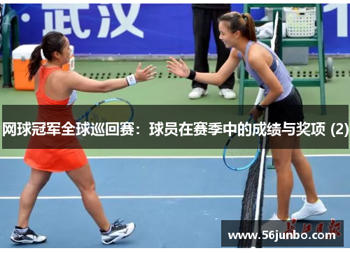 网球冠军全球巡回赛：球员在赛季中的成绩与奖项 (2)