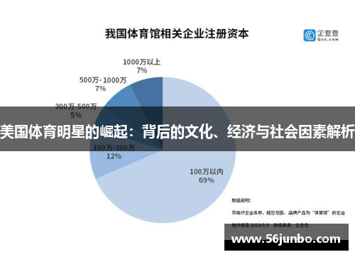 美国体育明星的崛起：背后的文化、经济与社会因素解析